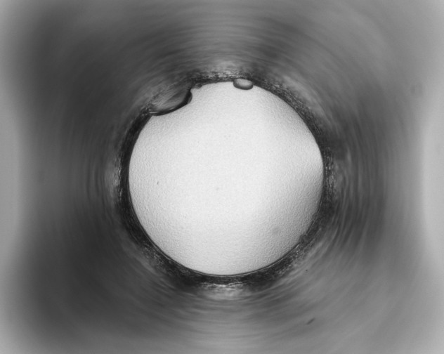 X0000093520548200711021048