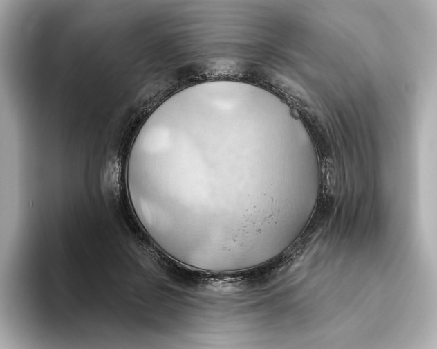 X0000093520550200711021048