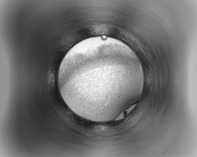 X0000093520551200711021048