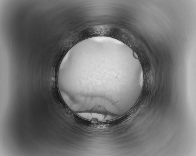 X0000093520553200711021048