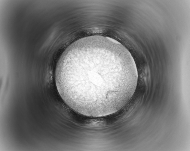 X0000093520555200711021048