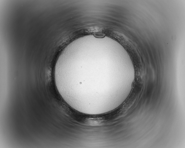 X0000093520556200711021048