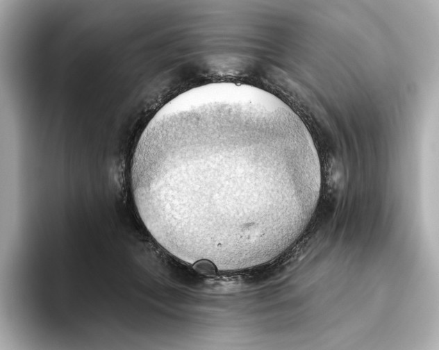 X0000093520559200711021048