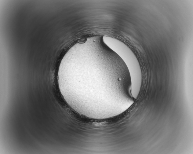 X0000093520560200711021048