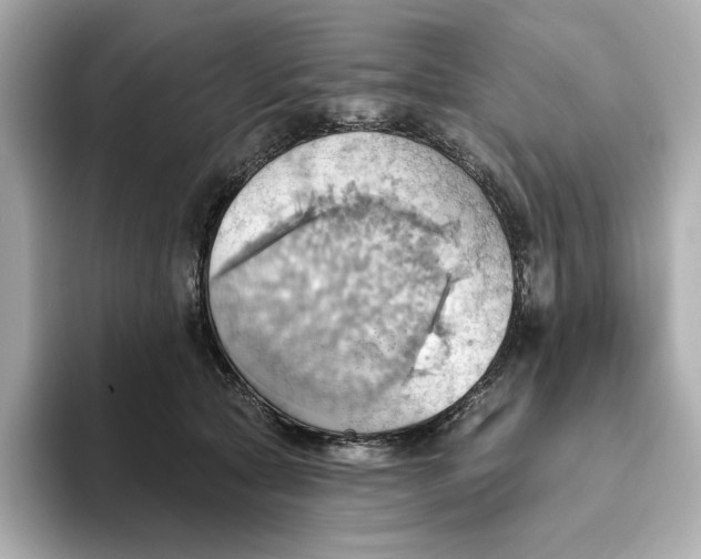 X0000093520561200711021048