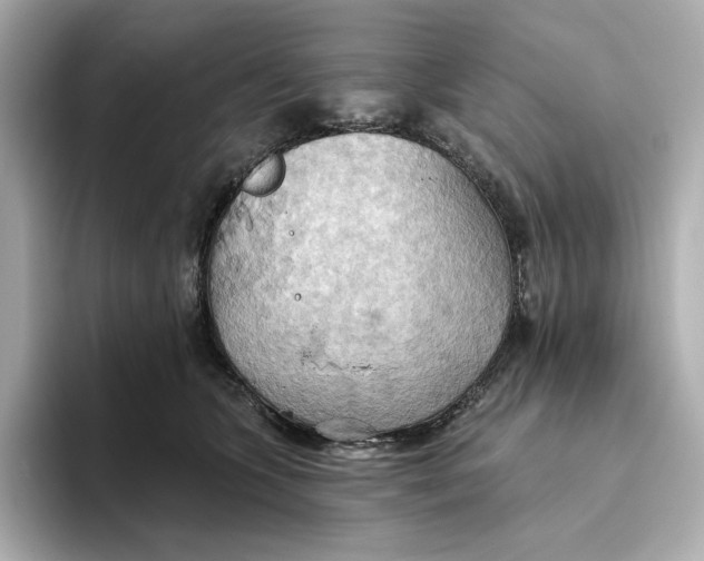 X0000093520563200711021048