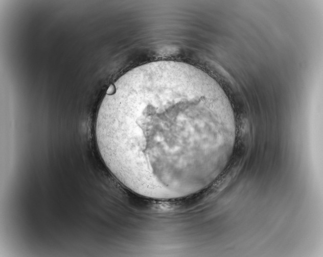 X0000093520565200711021048