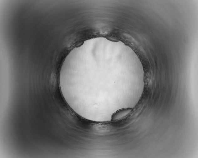 X0000093520568200711021048