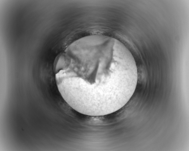 X0000093520573200711021048