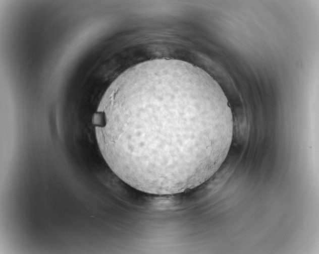 X0000093520574200711021048