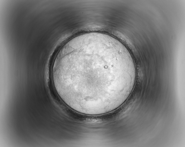 X0000093520582200711021047