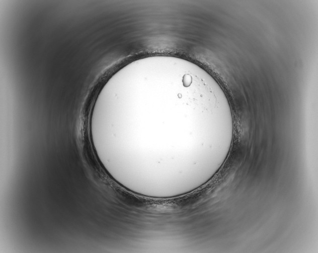 X0000093520583200711021047