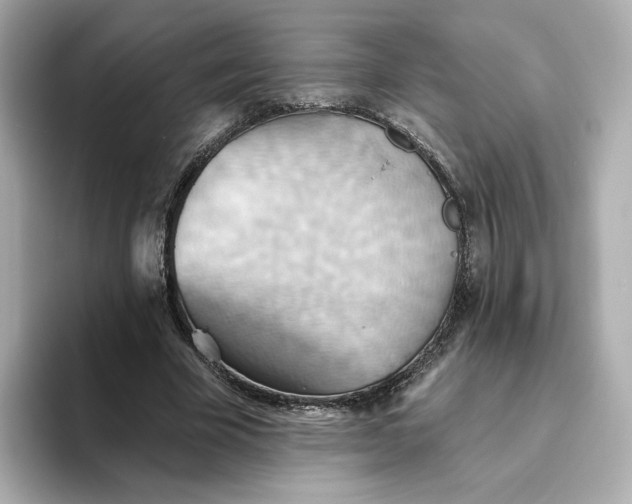 X0000093520585200711021047