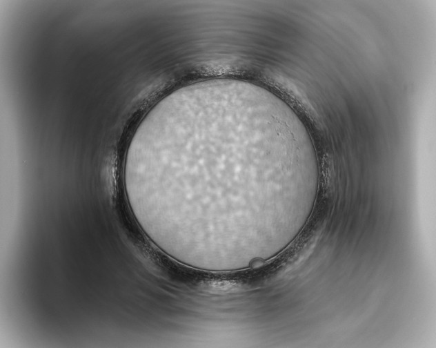 X0000093520590200711021047