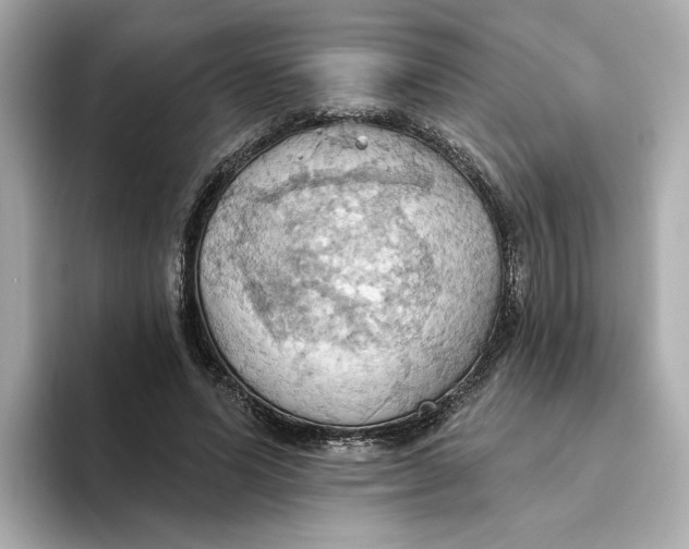 X0000093520591200711021047