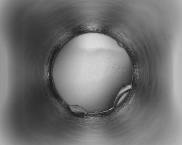 X0000093520593200711021047