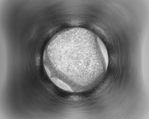 X0000093520596200711021047