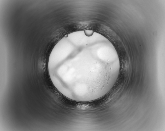 X0000093520602200711021047