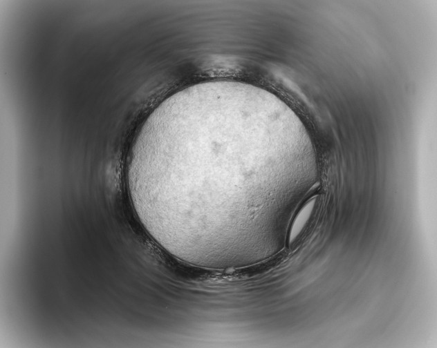 X0000093520604200711021047