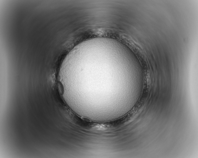 X0000093520611200711021047