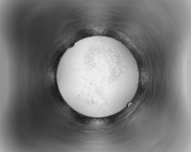 X0000093520613200711021047