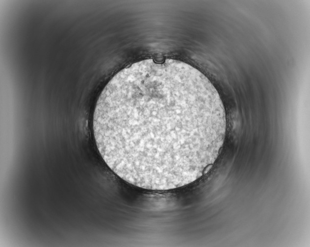 X0000093520615200711021047