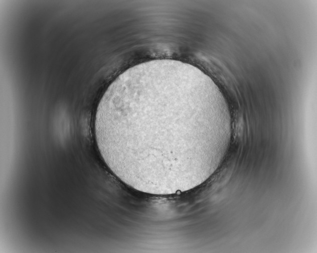 X0000093520616200711021047