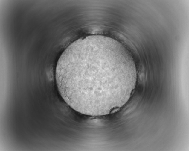 X0000093520620200711021047