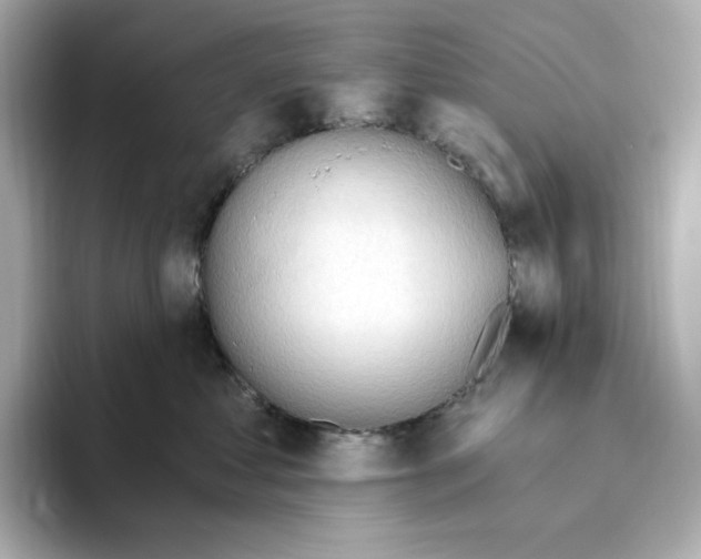 X0000093520621200711021047