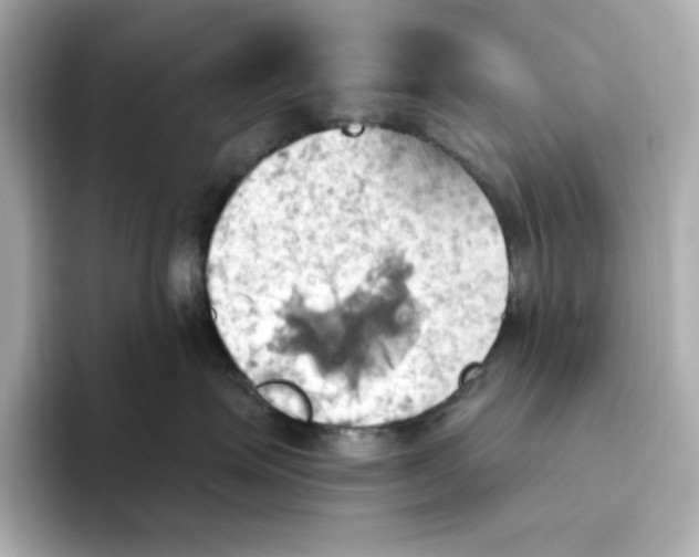 X0000093520623200711021047