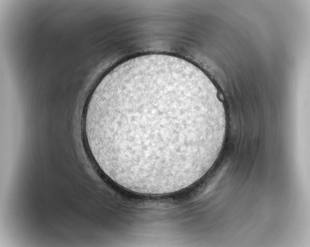 X0000093520625200711021046