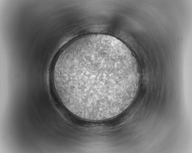 X0000093520626200711021046