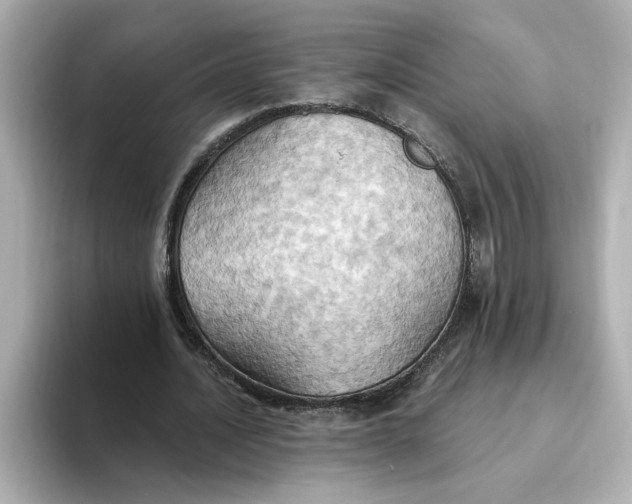 X0000093520628200711021046