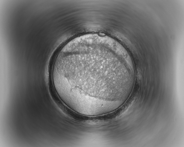 X0000093520630200711021046