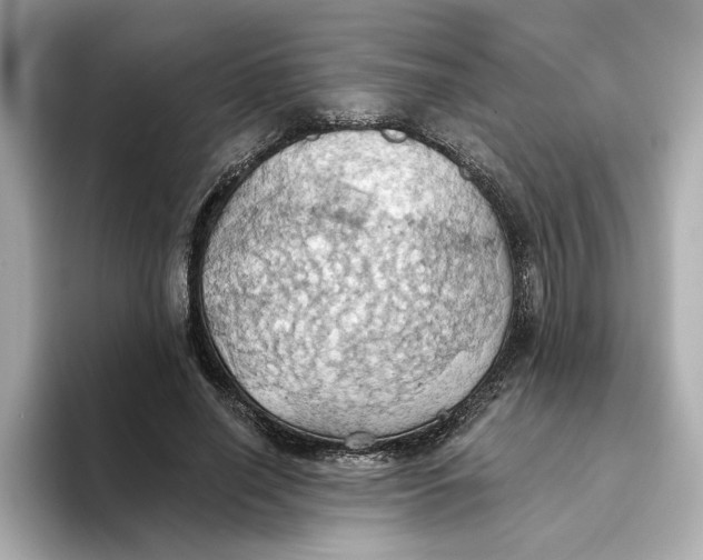 X0000093520638200711021047