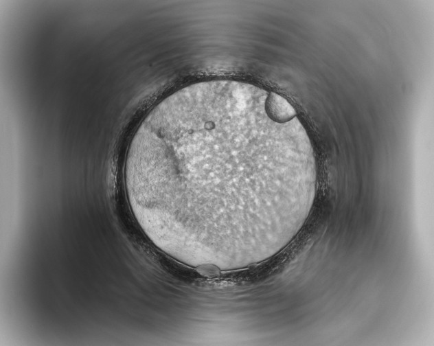 X0000093520640200711021047