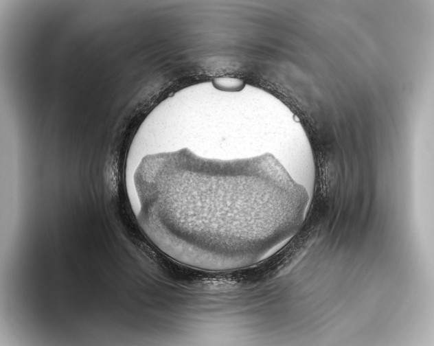 X0000093520644200711021047