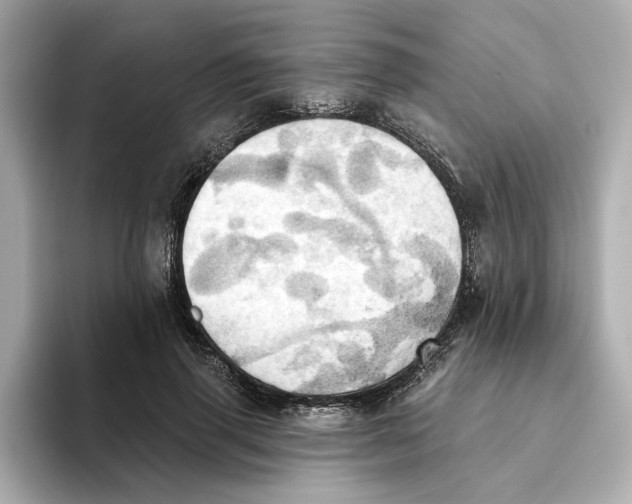 X0000093520645200711021047