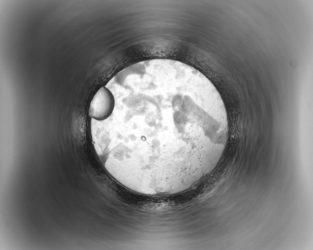 X0000093520646200711021047