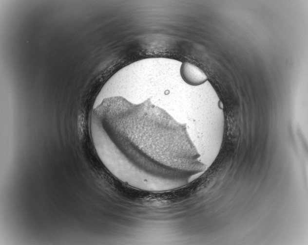 X0000093520648200711021047