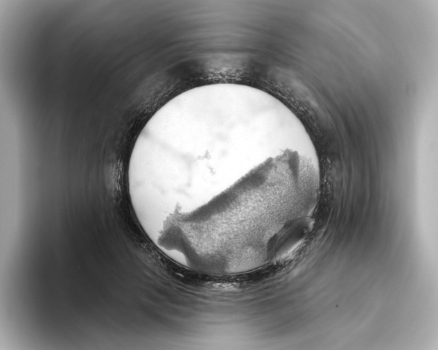 X0000093520649200711021047