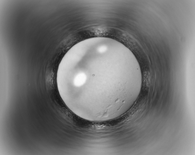 X0000093520650200711021047