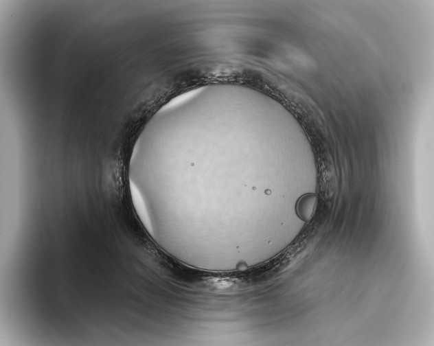 X0000093520654200711021047