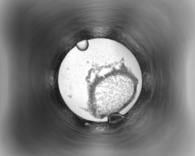 X0000093520655200711021047