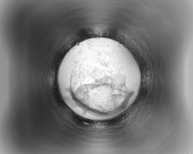 X0000093520656200711021047