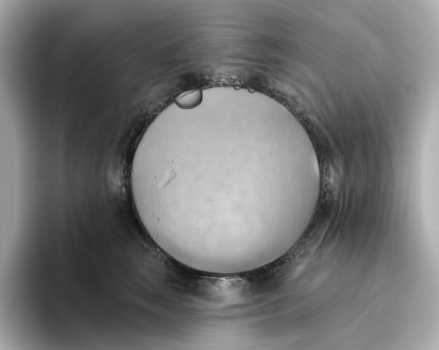 X0000093520663200711021047