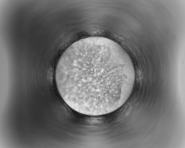 X0000093520664200711021047