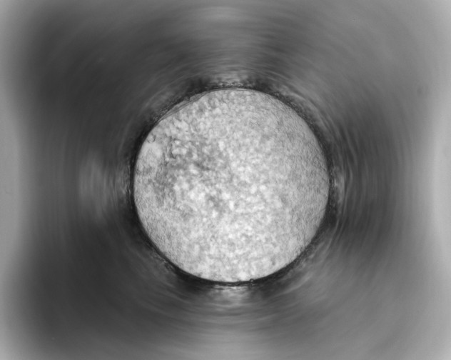 X0000093520665200711021047