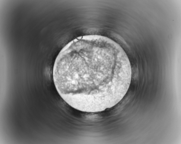 X0000093520669200711021047