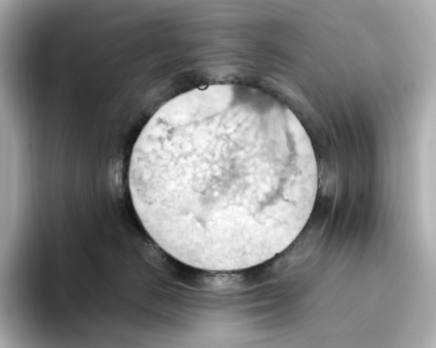 X0000093520670200711021047